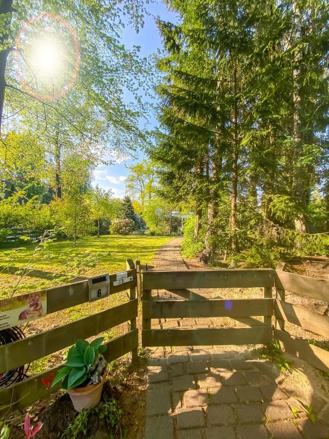 Ferienwohnung Im Sachsenwald Dassendorf Zewnętrze zdjęcie