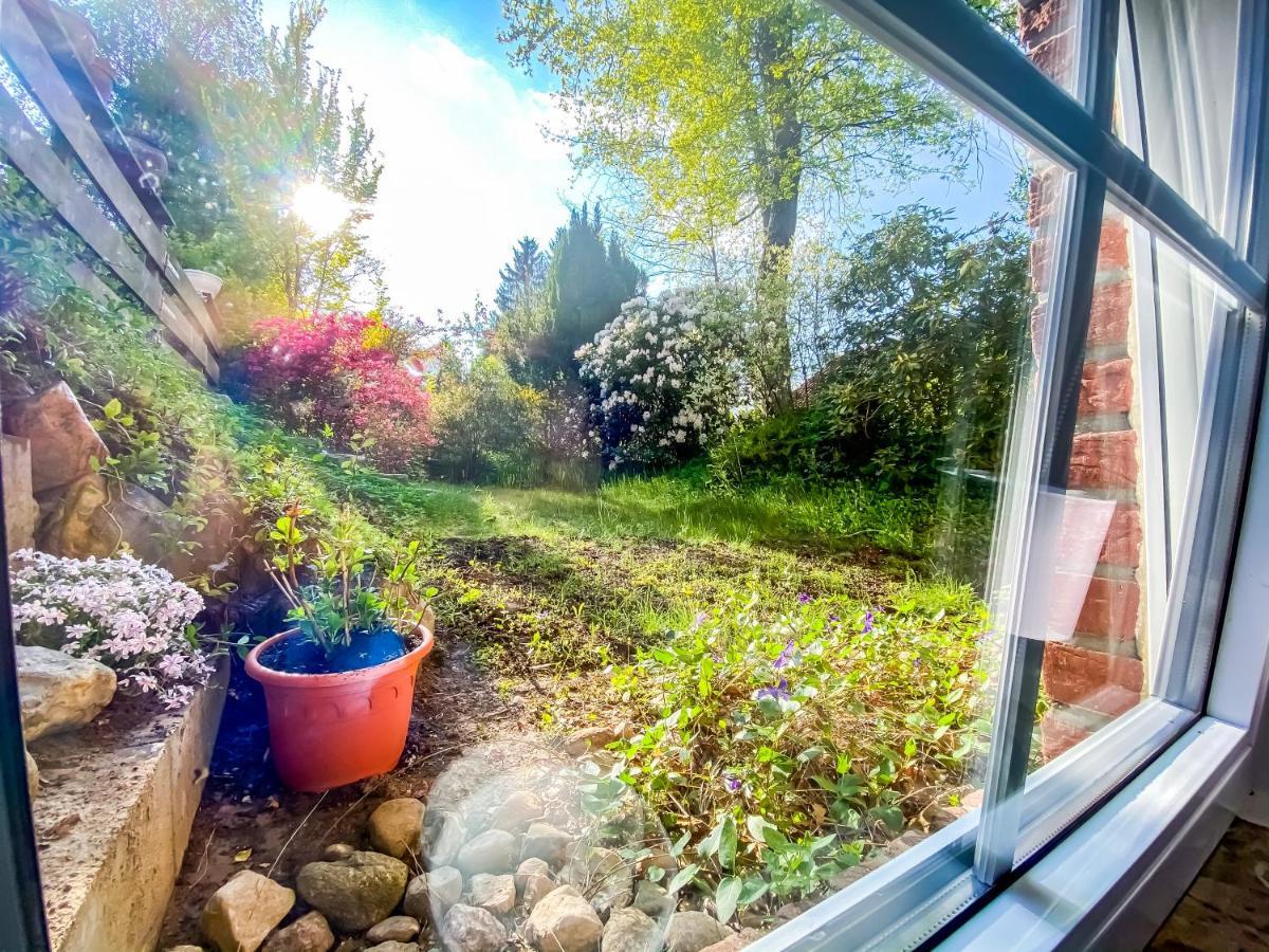 Ferienwohnung Im Sachsenwald Dassendorf Zewnętrze zdjęcie